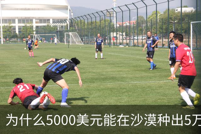 为什么5000美元能在沙漠种出5万棵树？