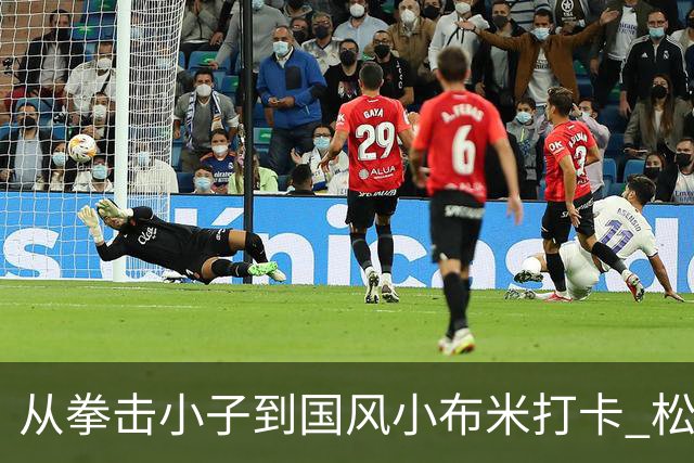 从拳击小子到国风小布米打卡 松延动力秀场WRC