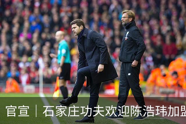 官宣｜石家庄功夫欢迎陈浩玮加盟